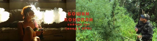 твердый Богородск