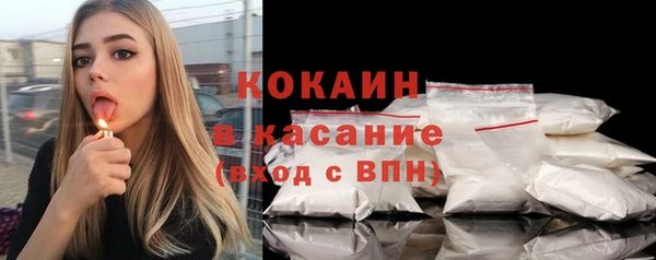 твердый Богородск