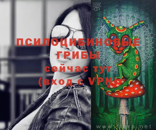 ECSTASY Балабаново