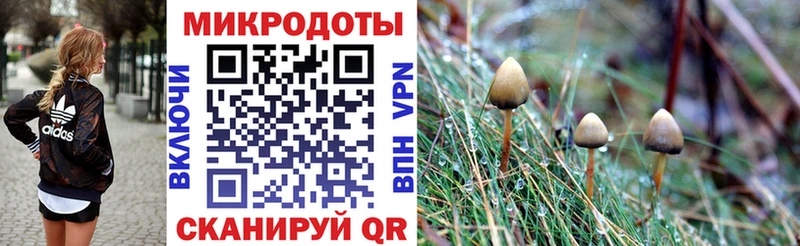 Псилоцибиновые грибы Magic Shrooms Свирск